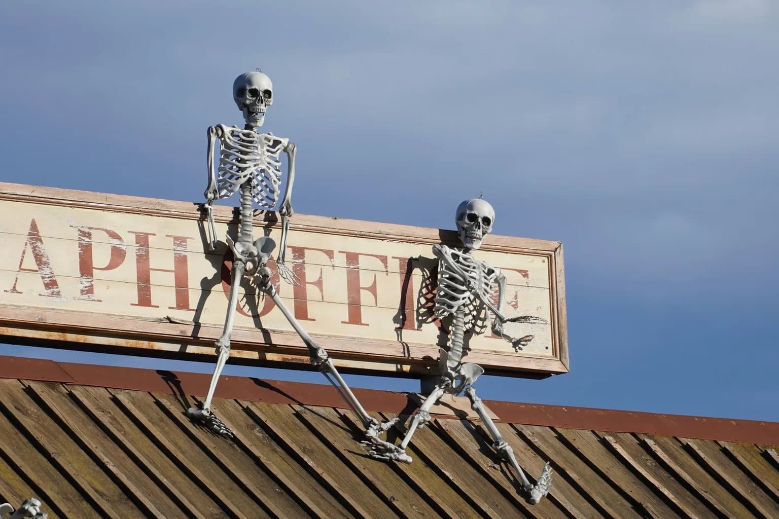 Home Depot's 12-foot Skelly skeleton Halloween yard decoration on display