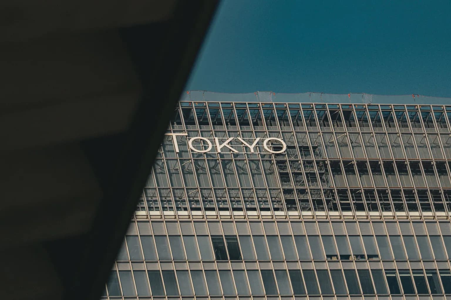 Visitors and industry delegates at TIFFCOM, the content market of the Tokyo International Film Festival