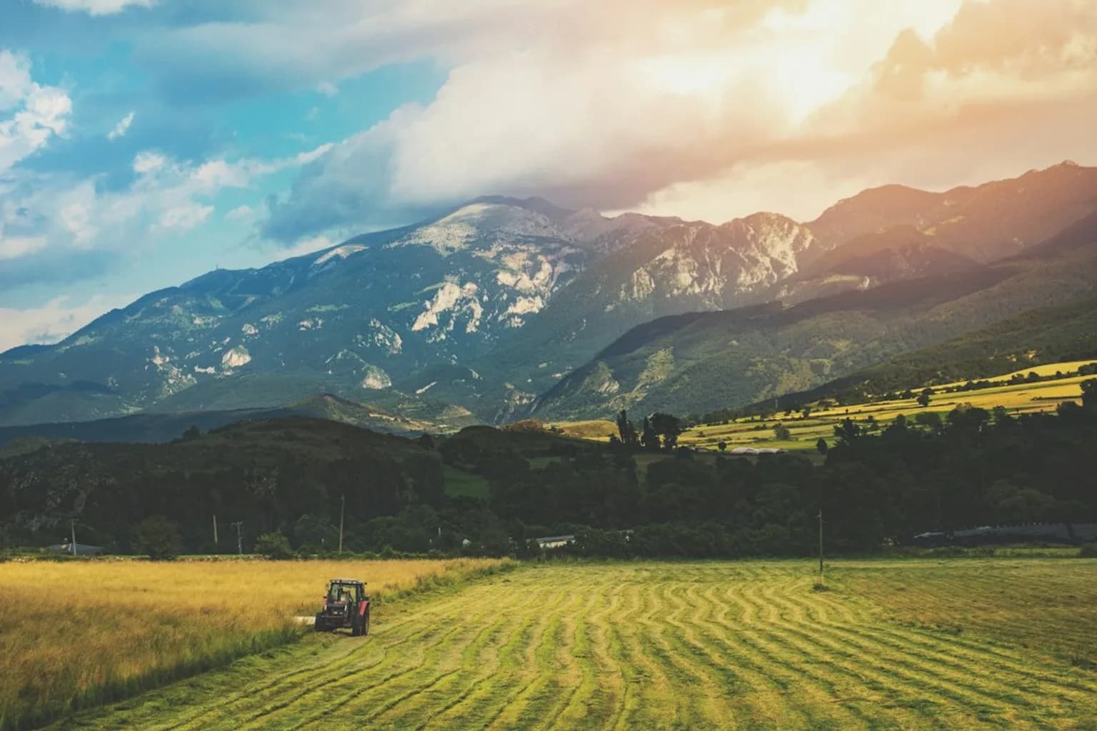 A farmer spraying pesticides on crops in a European agricultural field