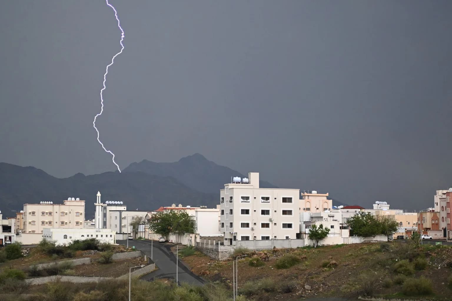 Smoke rising over a Yemeni coastal area following air strikes during the Saudi-led coalition campaign against Houthi forces