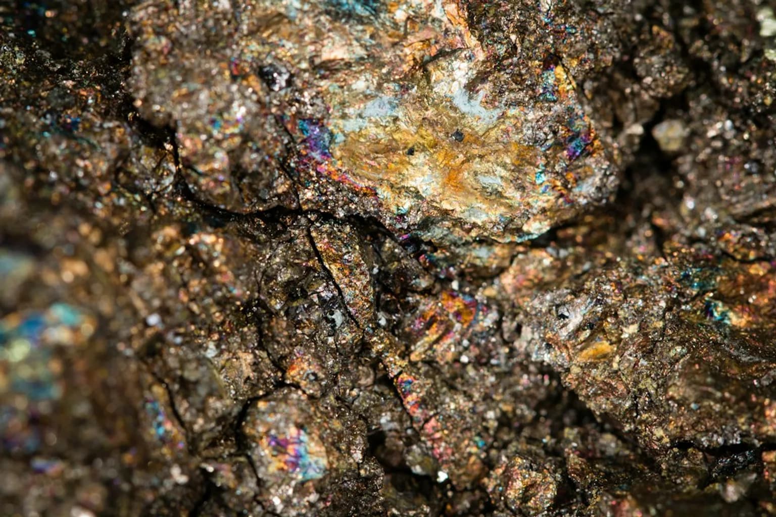 Close-up of rare earth mineral samples displayed in a laboratory or trade setting