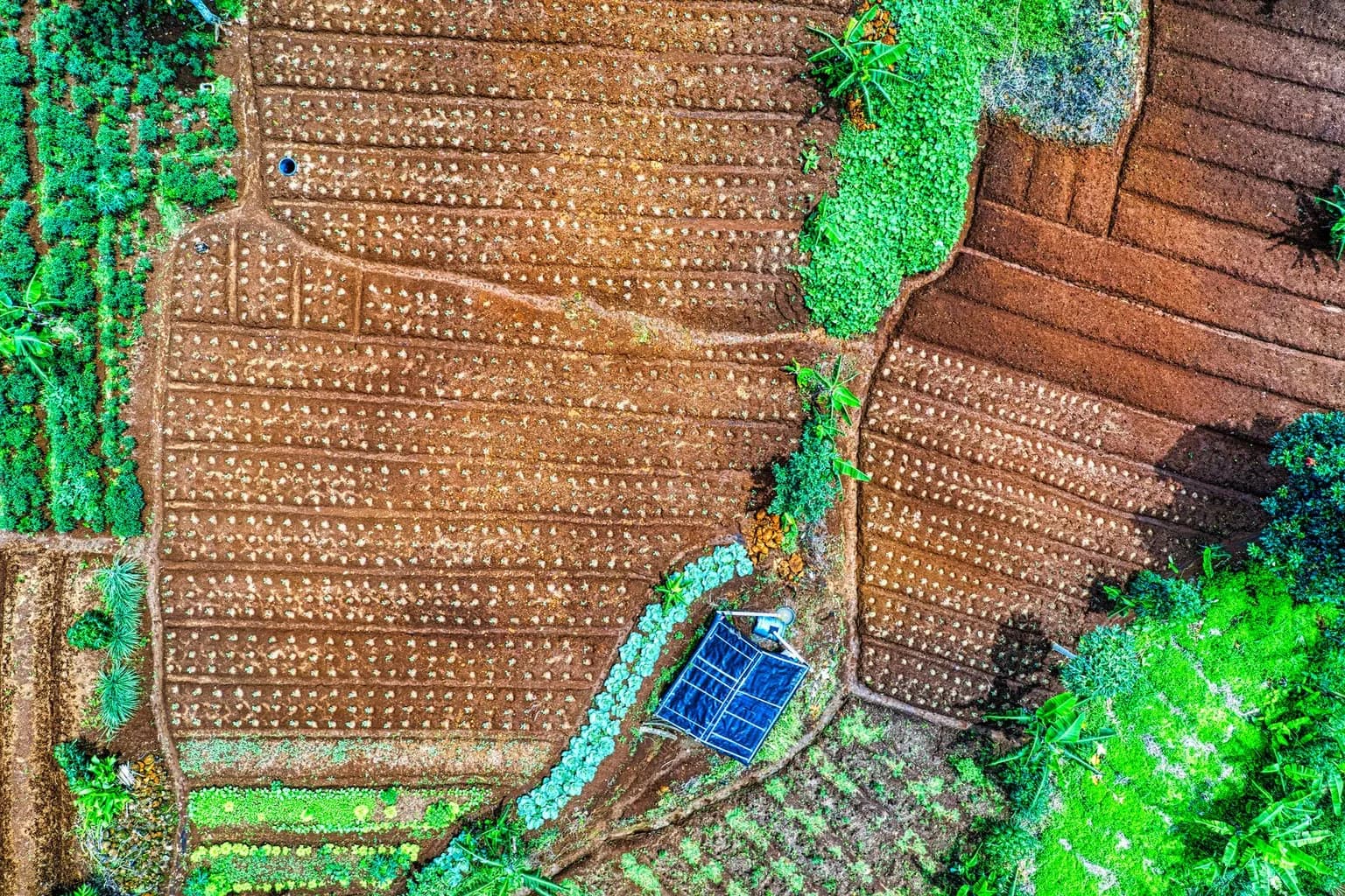 Solar panels installed in a rural farming area, with agricultural land visible in the background