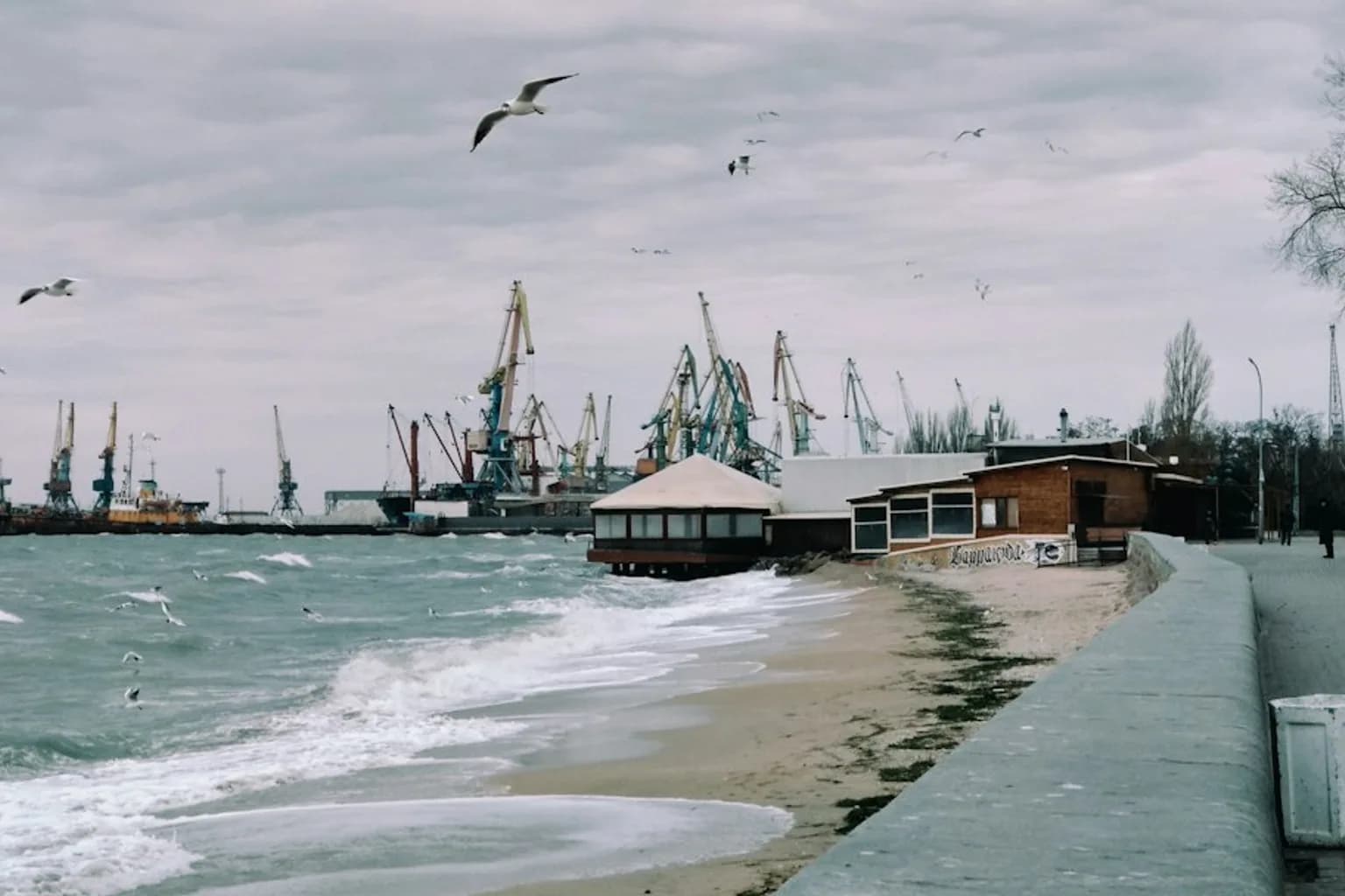 Cargo ships docked at Odesa port on the Black Sea
