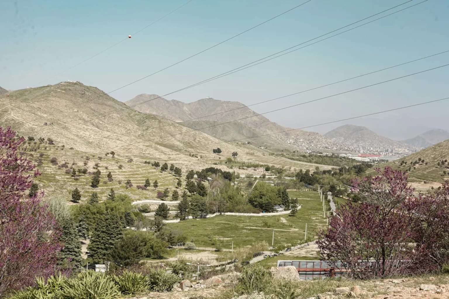 Crowds gathered at Abbey Gate outside Hamid Karzai International Airport in Kabul during the 2021 evacuation operation
