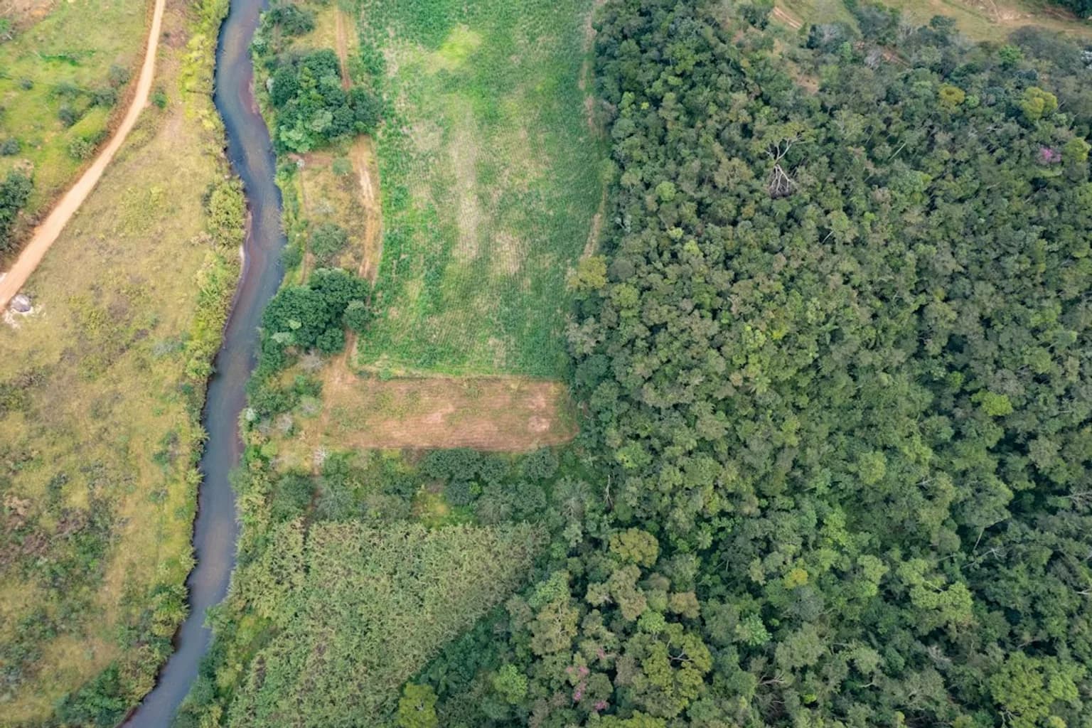 Aerial photograph showing deforested land alongside intact rainforest canopy in the Brazilian Amazon