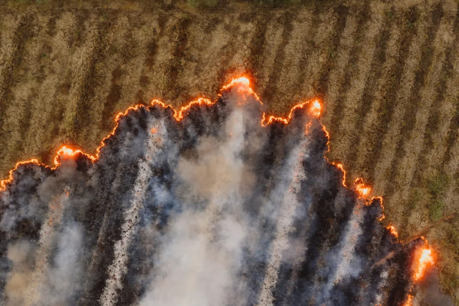 Thick haze from forest fires blankets West Kalimantan, Indonesia
