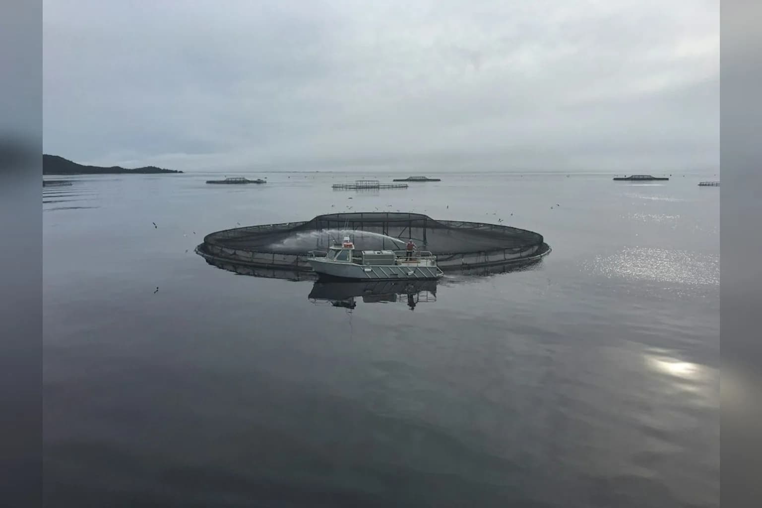 Aerial view of salmon farming pens in open water