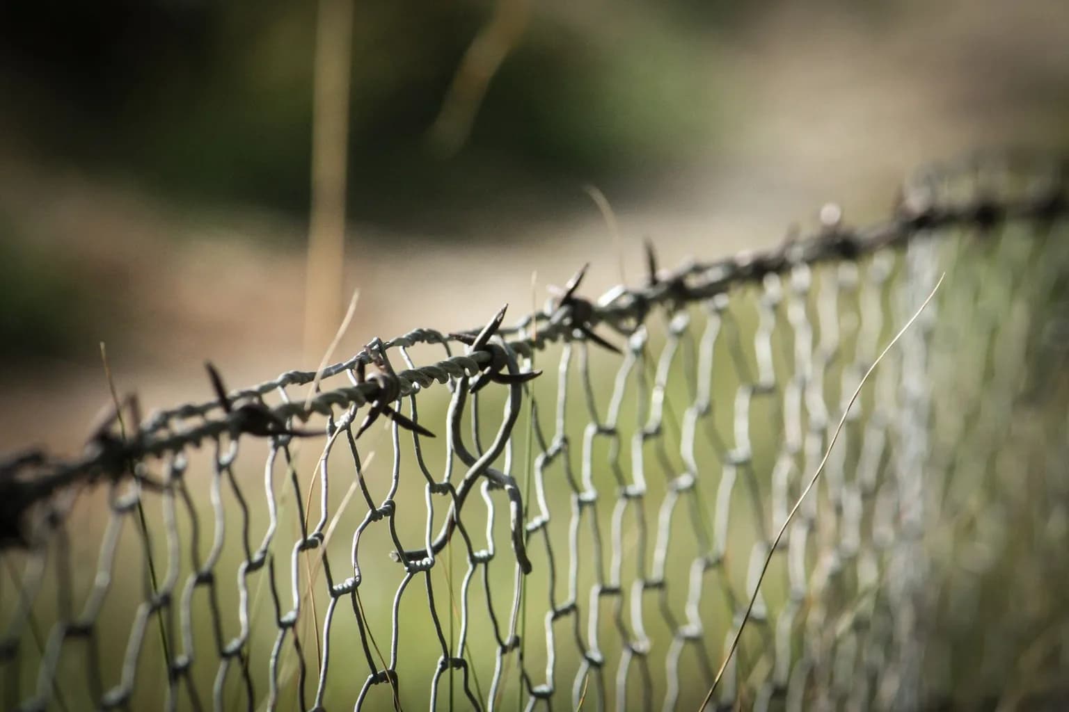 Border fencing along the Latvia-Belarus frontier