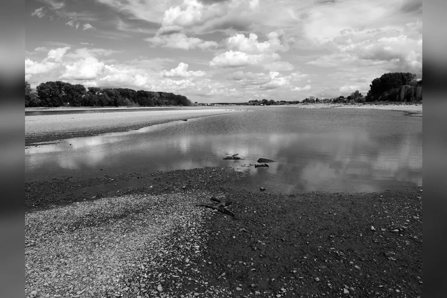 A dried and cracked European riverbed during summer drought conditions, with low water levels exposing rocky sediment.