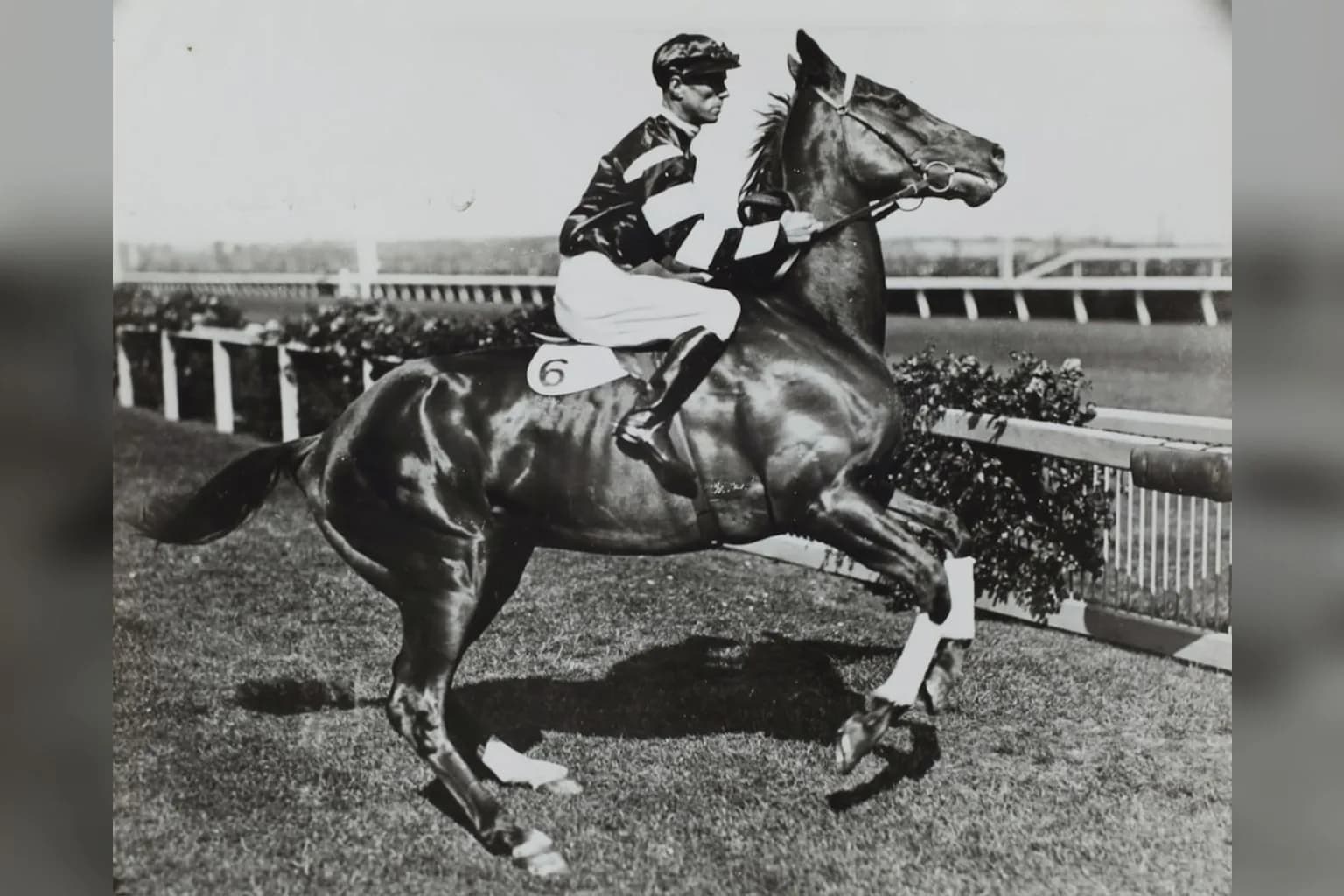 Jockey Saffie Osborne in racing silks