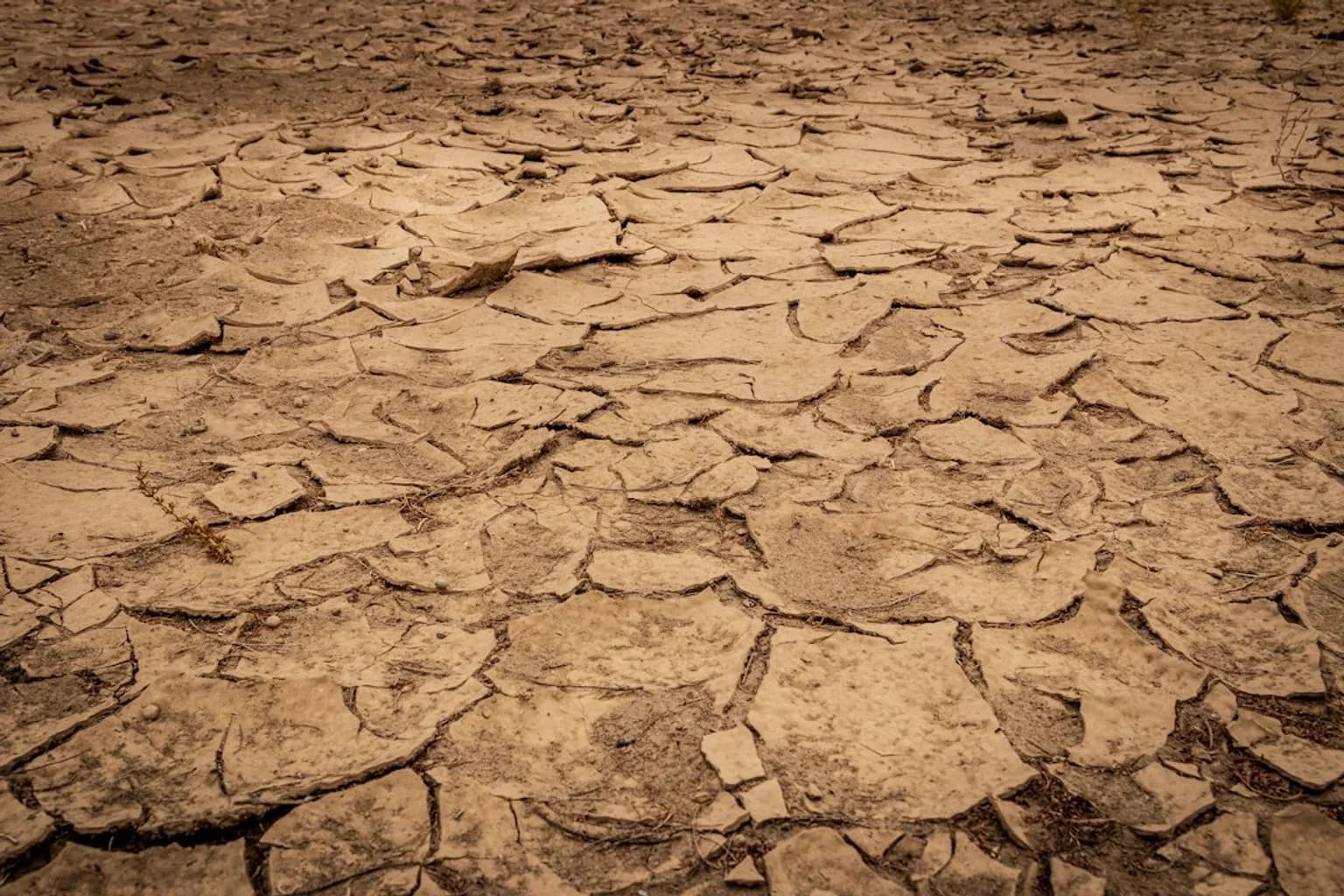 A dry, cracked riverbed with severely reduced water flow illustrating drought conditions