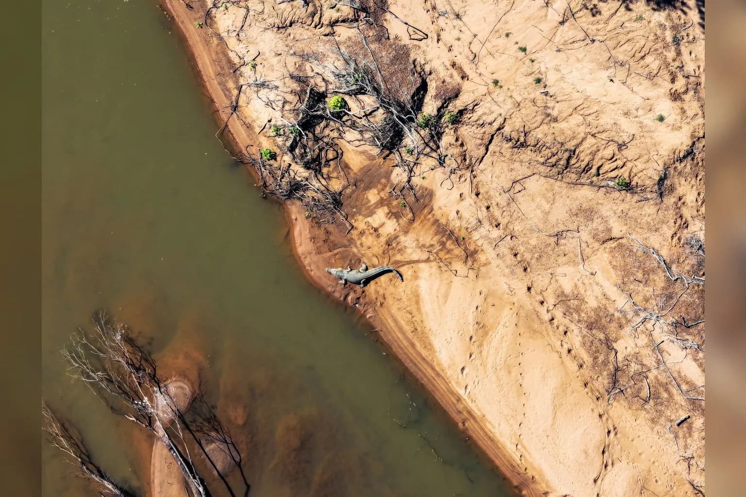 The Fitzroy River near Rockhampton, Queensland, approved as the rowing and canoe sprint venue for the 2032 Brisbane Olympics